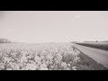 Kelsea Ballerini - love and hate (ballerini album version) [Official Lyric Video]