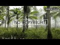 |Tropical House| Ehrling - Chasing Palm Trees | Royalty Free Music