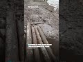 El mundos sin palabras: noticias del 29 de marzo al 4 de abril