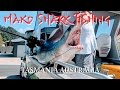 Mako Shark Fishing Tasmania Australia