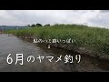 【渓流釣り】鮎のハミ跡いっぱいの6月のヤマメ釣り　宮城県白石川水系