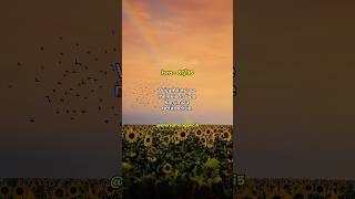 İsra Suresi 8796 Ayetler Türkçe Meâli