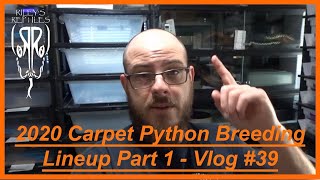 Celebrity 2020 Carpet Python Breeding Lineup Part 1 - Vlog #39 Net Worth