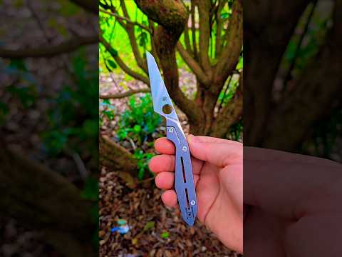 The Spyderco Nand in M398 (courtesy of @theponz)    