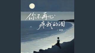 你不再心疼我的泪 (dj豪大大版)