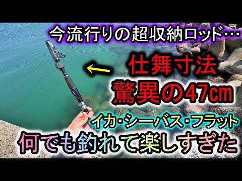 Fishing is possible with just one bag The 47cm 