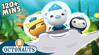 #Summer Octonauts  2 Hour Special! | Cartoons for Kids | Underwater Sea Education