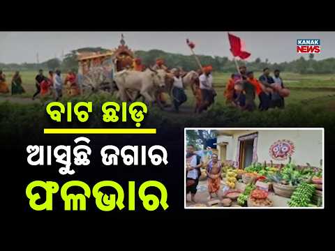 Lord Jagannath on Anasara: Devotees Offer Fruits as Recovery Ritual Continues