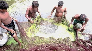 Best Traditional Net Fishing In The Village - Fishing By Cast Net