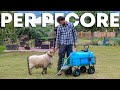 Ho COSTRUITO da zero un ABBEVERATOIO PORTATILE