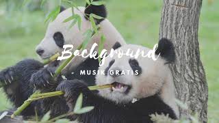 Download Lagu Gong Xi Fa Cai | Panda Fist | Lunar New Year MP3