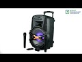 Автономна акустична система BIG250BAT USB/MP3/BT/TWS + 2pcs VHF mic