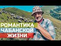 Один день с чабаном в горах Чечни