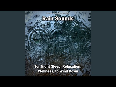 Rain Sounds Pt. 8