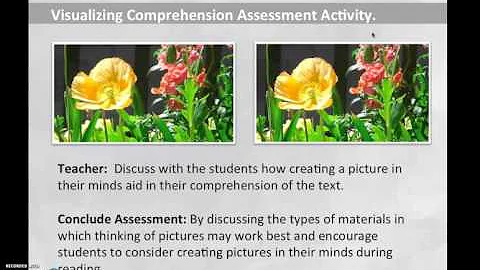 Sara Hodgson Effective Practices in Assessment of ...