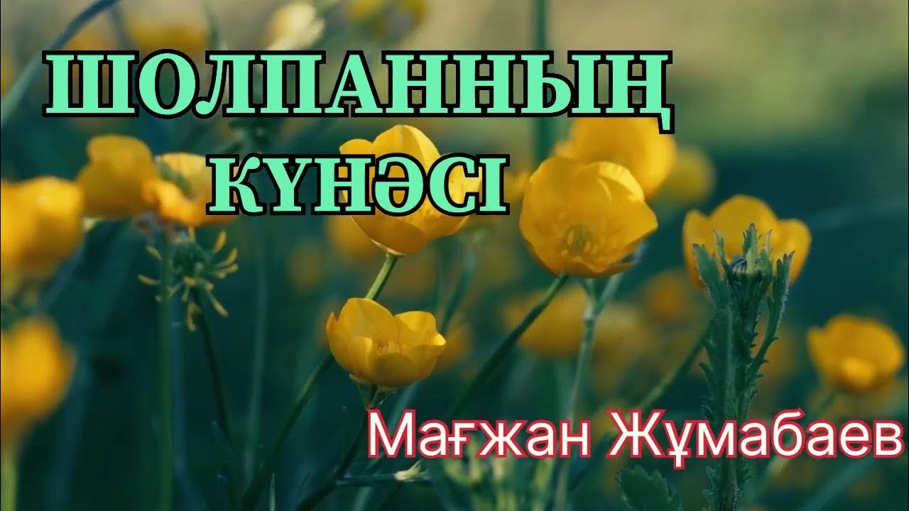 Жарылған аяқтардың порнофотосуреттері