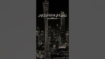 تلاوة رائعة جدا 🌱القارئ يوسف علي عبد السلام، 🌱،حالات واتس اب 🍃