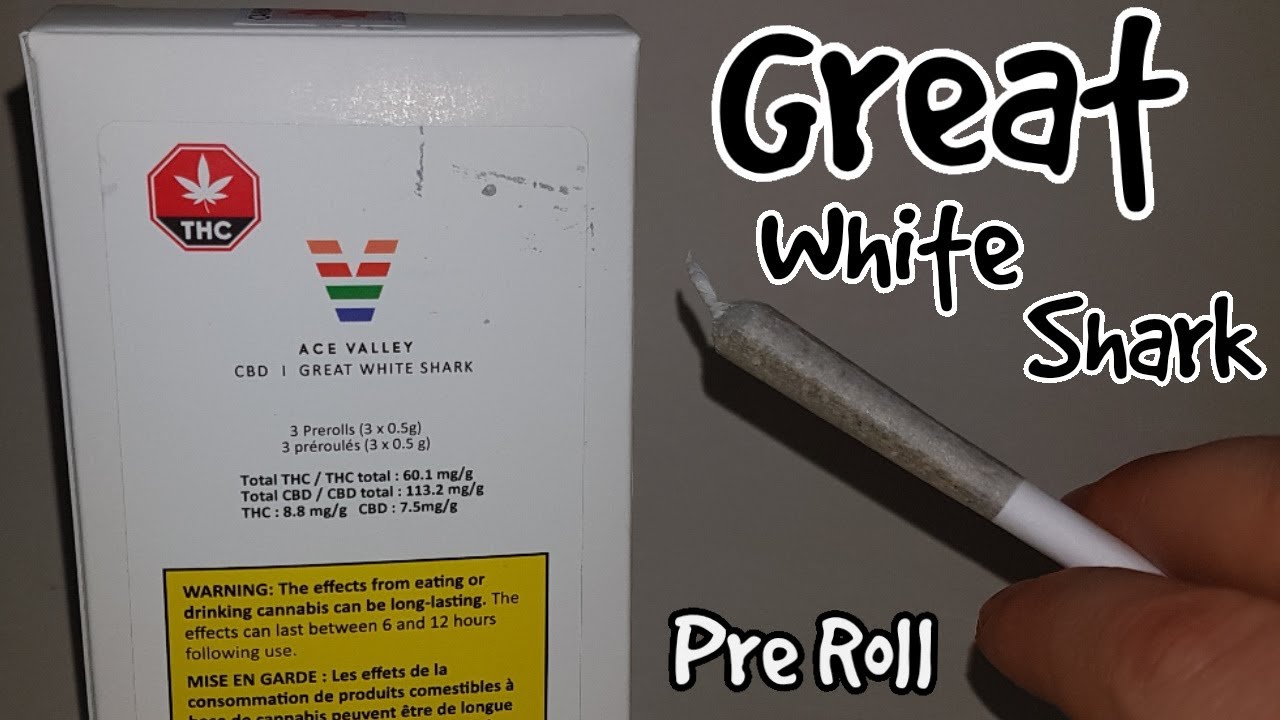 Great White Shark CBD Pre-Roll by Ace Valley