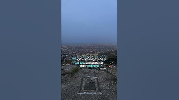 سورة الماعون {الآية 4} بصوت القارئ عبد الرحمن مسعد ❤️💖