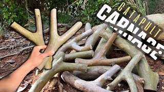 Collecting Tree Forks for Catapult Carnage