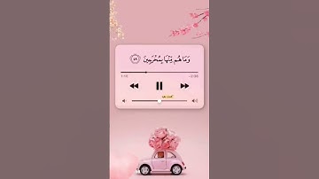 قرآن كريم #اكسبلور #لايك #اكسبلور #دويتو #المصحف
