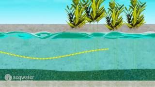 Seqwater explains: Decentralised schemes - a water source option Seqwater Explains Ground Water A Water Source Option