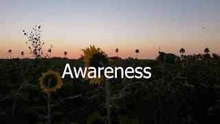 Awareness - Wavevolution Net Worth