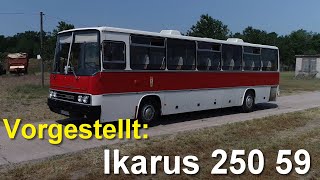 Vorgestellt: Unser Ikarus 250