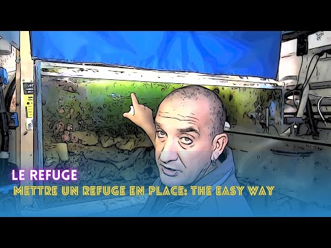 Vidéo: Cinq Raisons D'installer Un Refuge Sur Votre Aquarium D'eau Salée
