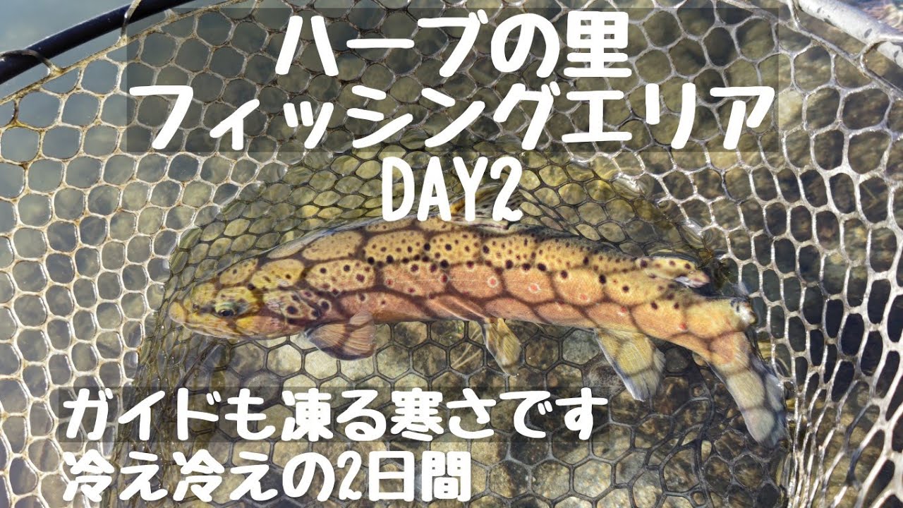 エリアトラウトフィッシング【管理釣り場】ハーブの里フィッシングエリア