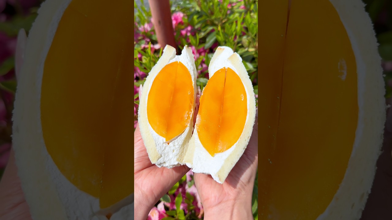 宮崎県産太陽のタマゴ使用⁉︎完熟マンゴーフルーツサンド🥭