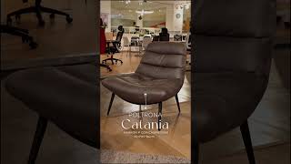 Diseño exclusivo en muebles modernos para tus espacios – Nuevas colecciones disponibles