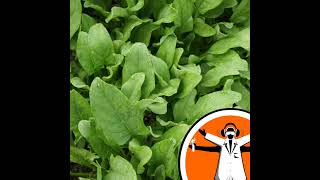 Bionic plant sensors