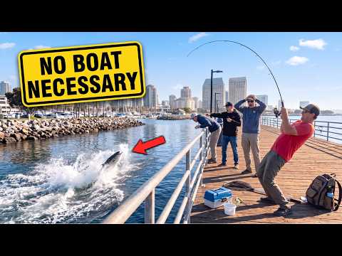 Southern California Fishing Spots Locals Don’t Share (No Boat Needed)