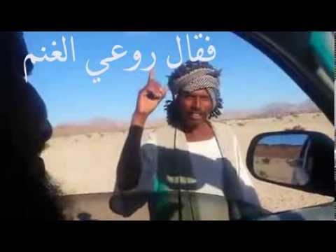 راعي غنم سوداني لقوه شباب في البر في السعوديه وطلبوا منه يبيعهم شاة ... اسمع وش قال لهم