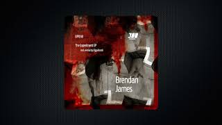 Brendan James -  Crazy (Olga Korol remix)
