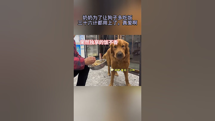 奶奶为了让狗子多吃点饭，三十六计都用上了，真爱啊