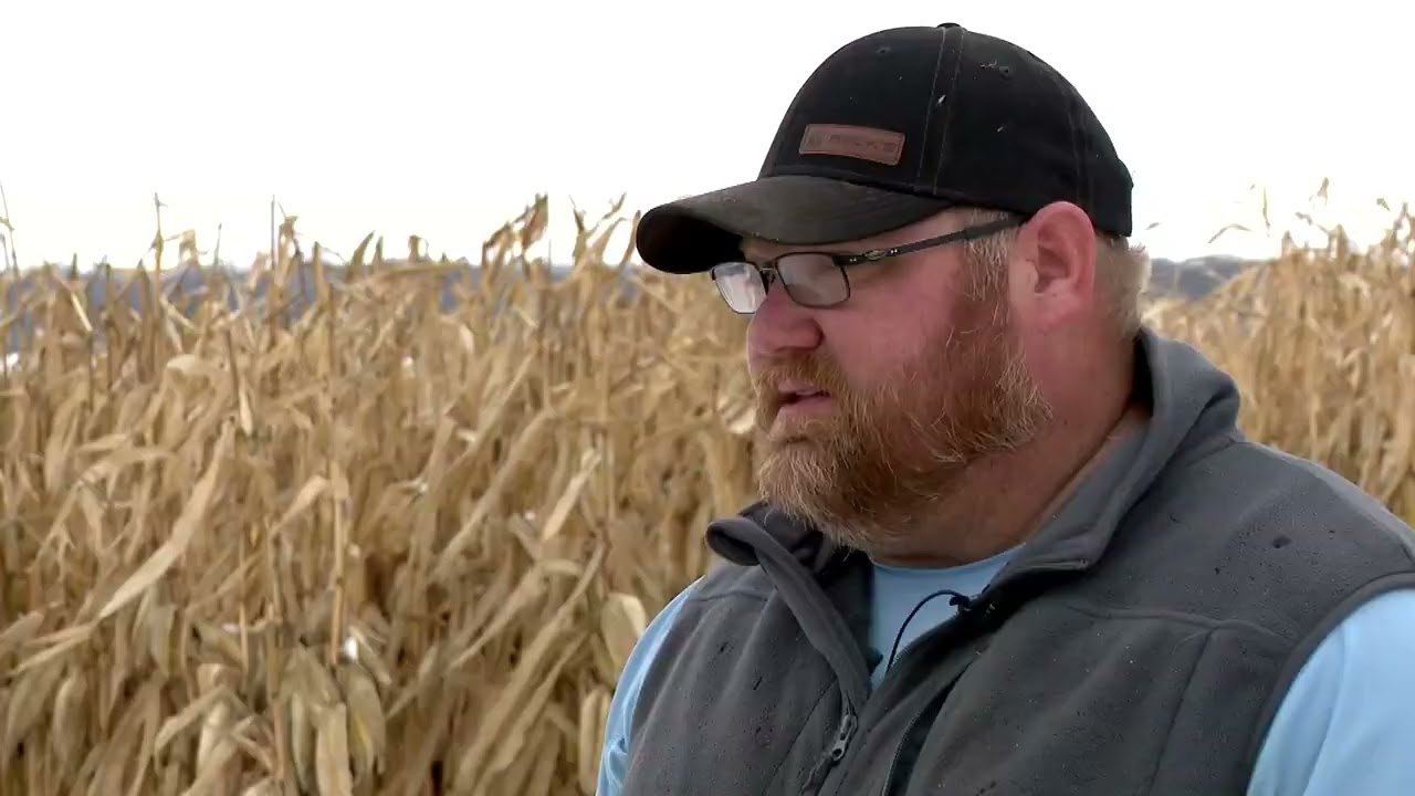 Farmer Bridge Payments