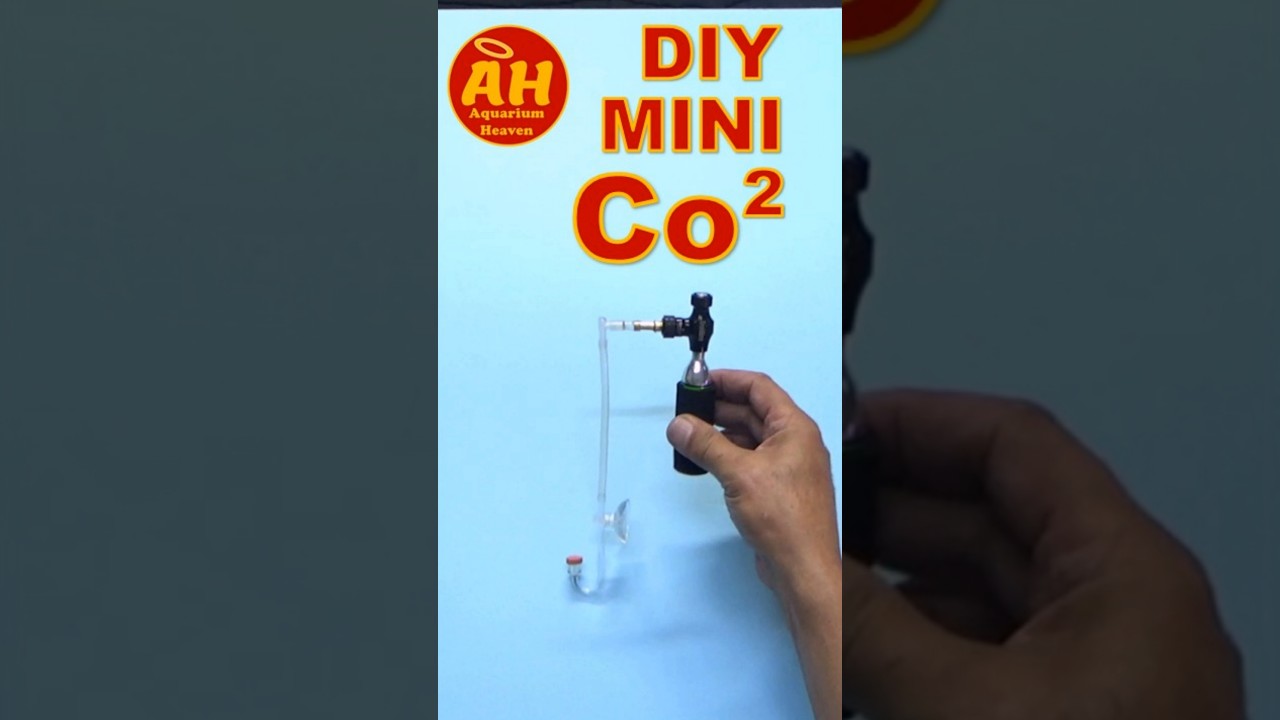 How to DIY Mini Co2 for Mini Aquarium 