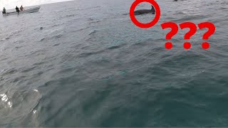 I CANT EXPLAIN WHAT I JUST SAW!!!! (Swimming with Dolphins Zanzibar)...