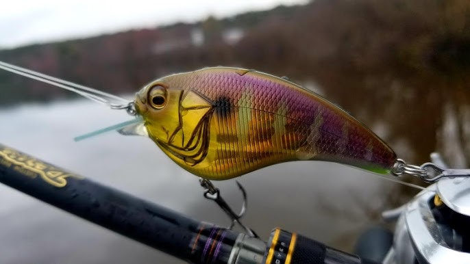 Our Top 5 Favorite Flat Sided Crankbaits To Catch More Fish In The Fall  With! 