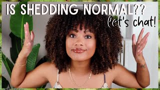 is your hair shedding normal!? let's talk about it | natural hair care