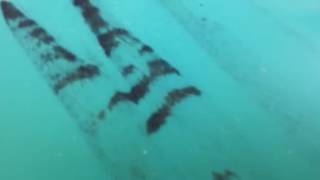 Gold prospecting Norte sask river