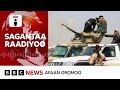Haleellaa hidhattoonni Lixa Oromiyaatti dhaabbata warqii qoturratti raawwatan