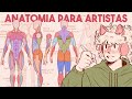 Anatomia para artistas | Tutorial de anatomia