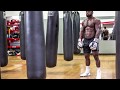 Boxing, Training, Sparring, Pad Work | Mike Rashid