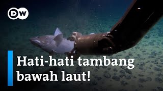 Penambangan bawah laut: Solusi atau ancaman? | DW Business