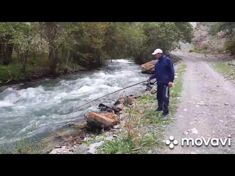 Рыбалка в таразе. Рыбалка Кокомерен. Урмарал.