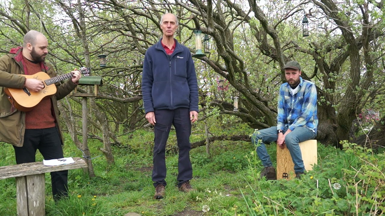 Pussy Willows - The Darnills -Wadsley and Loxley Common Tree of the Month - March - Goat Willow