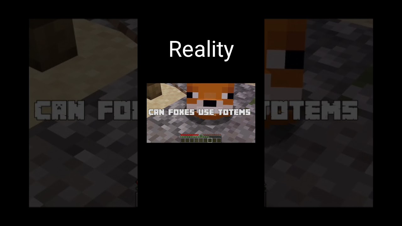 Hapico Animation With Reality